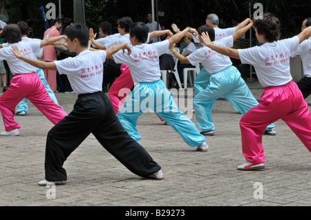 Kung-Fu-Ausstellung, Kowloon Park, Hong Kong, china Stockfoto