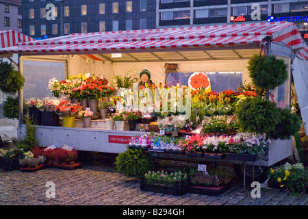 Christmas Market Turku Finnland Datum 22 04 2008 Ref ZB693 112626 0030 obligatorische CREDIT Welt Bilder Photoshot Stockfoto