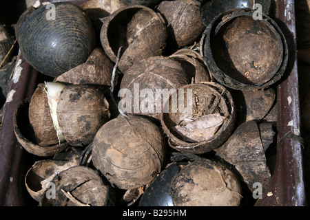 Behälter gefüllt mit getrockneten leere braune Kokosnuss-Schalen gemischt mit künstlichen Schalen Rubber Tapping und Landwirtschaft Zwecken verwendet Stockfoto