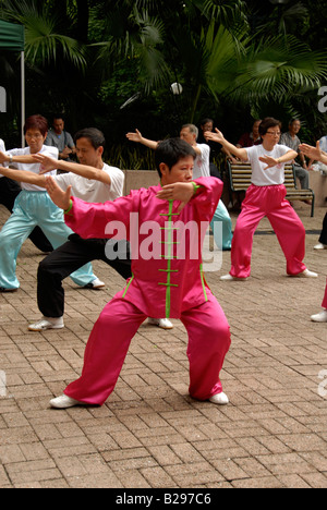 Kung-Fu-Ausstellung, Kowloon Park, Hong Kong, china Stockfoto