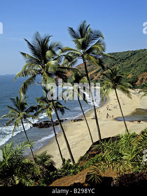 Arambol Beach State Park Goa Indien Datum 15 06 2008 Ref ZB548 115573 0022 obligatorische CREDIT Welt Bilder Photoshot Stockfoto