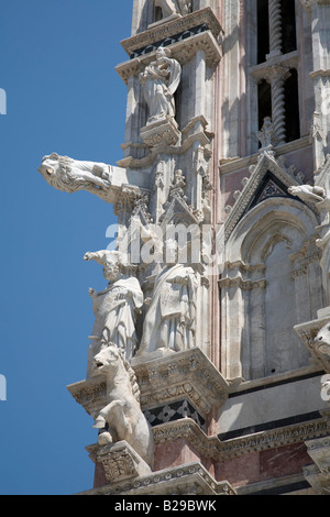 Siena Kathedrale Duomo di Siena ist die mittelalterliche Kathedrale von Siena Toskana Italien Europa Stockfoto