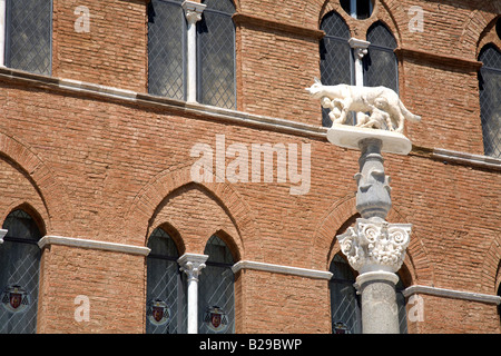 Statue von sie Wolf Suckling Romulus und Remus und Windows OPA Palace Piazza del Duomo Siena Tuscany Italien Europa Stockfoto