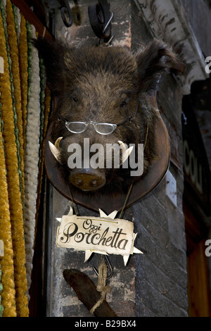 Wildschwein Kopf montiert an Bord Zeichen liest Porchetta Oggi Braten übersetzt Schwein heute Siena Toskana Italien Europa Stockfoto