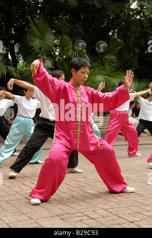 Kung-Fu-Ausstellung, Kowloon Park, Hong Kong, china Stockfoto