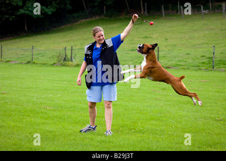 Frau und deutscher Boxer Stockfoto