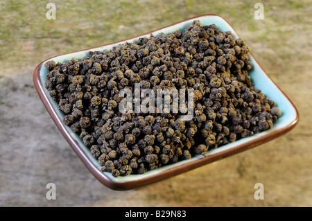 Medizinisches Evodia Obst / Wu Zhu Yu Stockfoto
