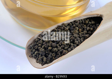 Medizinisches Evodia Obst / Wu Zhu Yu Stockfoto