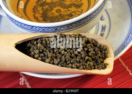 Medizinisches Evodia Obst / Wu Zhu Yu Stockfoto