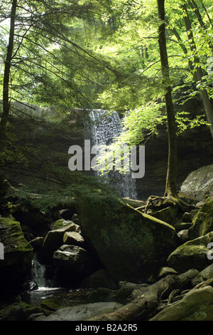 Gurke verliebt sich in die Ohiopyle State Park-Pennsylvania Stockfoto