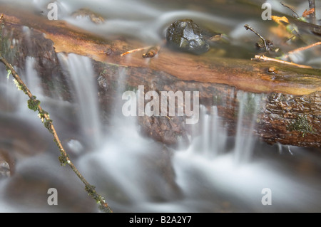 Unter Schachtelhalm fällt Columbia River Gorge National Scenic Area Oneonta Schlucht Multnomah County Stockfoto