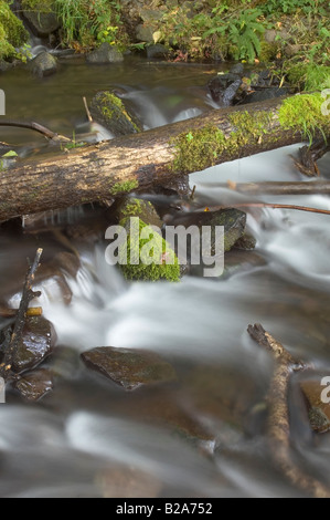 Wasser-Rushing flussabwärts Schachtelhalm fällt Oregon Stockfoto