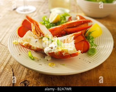Frischen zubereiteten Hummer gekleidet Stockfoto