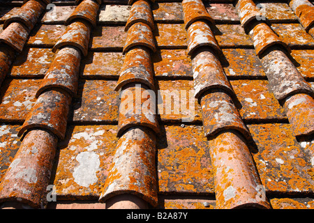 Detail des Daches Terrakotta Fliesen Castellina in Chianti Toskana Italien Südeuropa Stockfoto