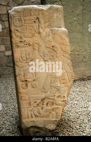 Original Stein-Stele in der Monte Alban Museum, in der Nähe von Oaxaca City, Bundesstaat Oaxaca, Mexiko Stockfoto