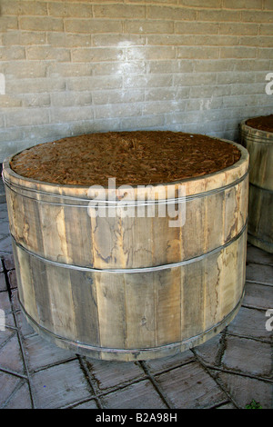 Mezcal-Fabrik Nr. Oaxaca, Mexiko. Gärenden Fässer von gekochten und zerdrückten Herzen der blauen Agave. Stockfoto