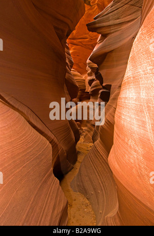 Abstrakte Formen der Antelope Canyon Arizona USA Stockfoto