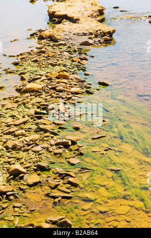 Detail des verschmutzten Fluss von Chemikalien in der Nähe einer verlassenen mine Stockfoto