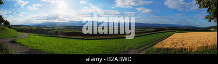 Genähte Panorama von einem Weizenfeld mit herrlichem Blick auf die Berge im Hintergrund. Stockfoto