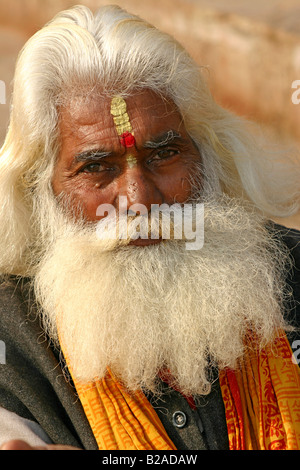Sadhu mit weißen Bart in Varanasi, Indien Stockfoto