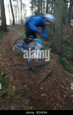 Verschwommene Mountain Biker Touren durch Wanderwege im Bereich Guildford Dorking/Surrey Hills Stockfoto