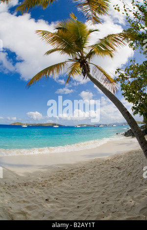 Salomon-Strand in der Jungfrau Inseln Nationalpark auf der Karibik-Insel St. John in den US Virgin Islands Stockfoto