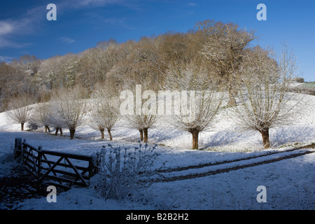 Schnee auf beschnitten Weiden am Swinbrook in Oxfordshire-England-Großbritannien Stockfoto