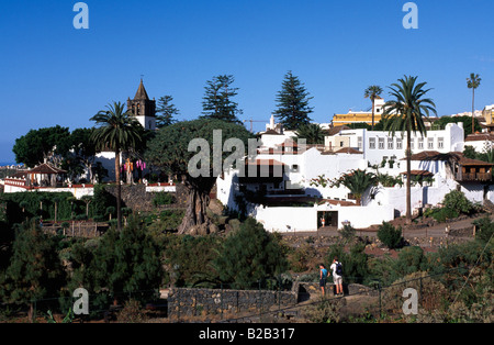 Icod de Los Vinos-Teneriffa-Kanarische Inseln-Spanien Stockfoto