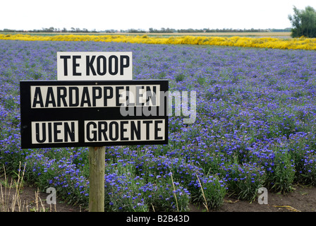 Zeichen, die Förderung der lokalen Farm produzieren in Walcheren Zeeland Niederlande Stockfoto