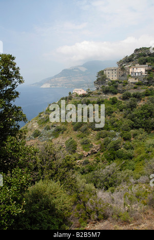 Der Berg Dorf Nonza liegt 18km südlich von Centuri und eines der Highlights von der Küste des Cap Corse. Stockfoto