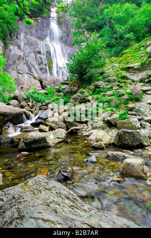 Afon Rhaeadr Fawr in der Nähe von Bangor in Nordwales fließt durch Coedydd Aber mit fällt Aber im Hintergrund Stockfoto