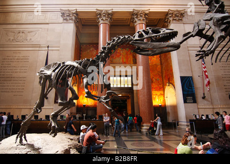 American Museum of Natural History - New York City, USA Stockfoto