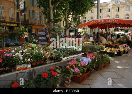 Anzeige an die Blume & Pflanzenmarkt in Place de l ' Hotel de Ville, Aix-En-Provence, Südfrankreich. Stockfoto