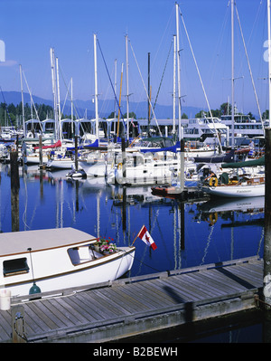Coal Harbour Vancouver British Columbia Kanada Stockfoto