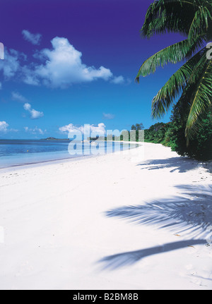 Praslin Seychellen Stockfoto