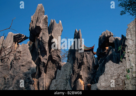 Steinwald ShiLin, Kunming, Yunnan, China, Asien Stockfoto