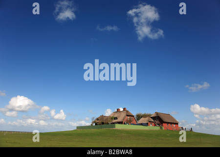 Hallig Suedfall in den Nationalpark Wattenmeer, Nordfriesland, Schleswig Holstein, Norddeutschland, Europa Stockfoto