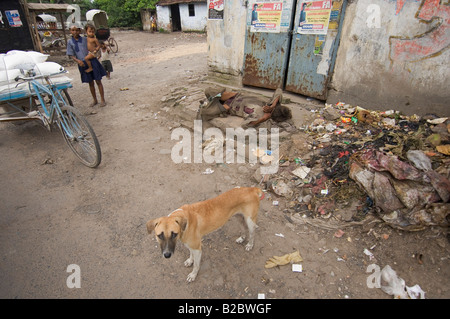 Ein Obdachloser auf den Straßen in den Slums von Topsia, Menschen, die nur sich selbst durch Betteln oder aus den Müll von ernähren können Stockfoto