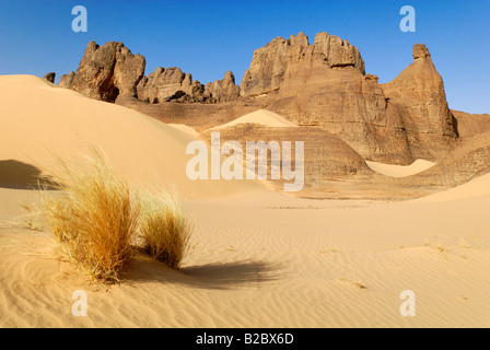 Felsformation in Tin Akachaker, Tassili du Hoggar, Wilaya Tamanrasset, Algerien, Sahara, Nordafrika Stockfoto