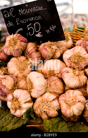 Die Anzeige der neuen Knoblauch, ail Nouveau Cours Saleya Markt, Altstadt von Nizza, Südfrankreich Stockfoto