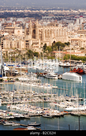 Blick über den Hafen und die Altstadt mit Kathedrale Sa Seu, Palma, Mallorca, Balearen, Spanien, Europa Stockfoto