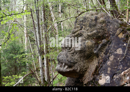 Abbildung eines Drachen in der Wutachschlucht, Baden-Württemberg, Deutschland, Europa Stockfoto