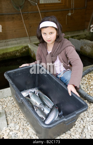 Frisch gefangen, Regenbogenforelle (Oncorhynchus Mykiss), Steiermark, Österreich, Europa Stockfoto