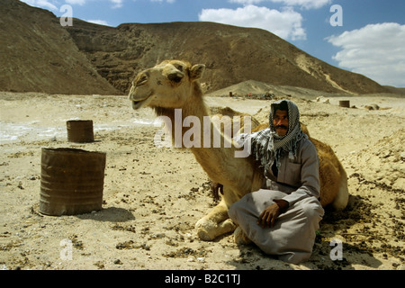 Beduinen sitzt neben einem baktrischen Kamel (Camelus Bactrianus) vor einem Hügel in der Wüste, Sinai, Ägypten, Afrika Stockfoto