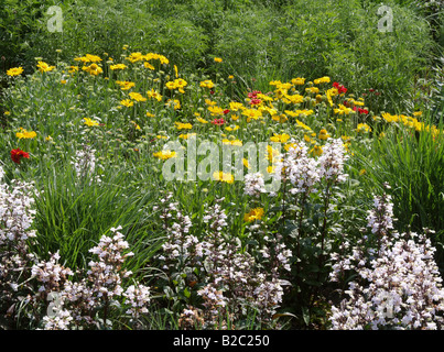 BUGA 2007, Federal Garten Ausstellung 2007 Gera und Ronneburg, Bundesgartenschau Stockfoto