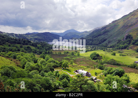 Mit Blick auf Llyn Gwynant in Snowdonia-Nationalpark im Norden von Wales mit bedecktem Himmel Stockfoto