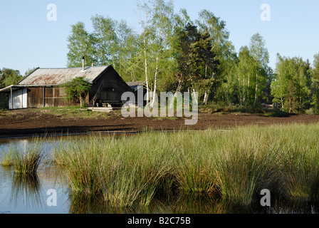 Abendstimmung in einer Hütte des ehemaligen Torffabrik Nickelheim neben einem Moor-Teich mit weichen Binsen (Juncus Effusus) und falscher, Stockfoto