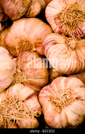 Die Anzeige von Knoblauch, Cours Saleya Markt, Altstadt von Nizza, Südfrankreich Stockfoto