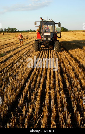 Strohballen Stapeln auf Anhänger des Traktors in Stoppeln Feld Békés County Südungarn Europa Stockfoto