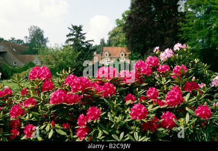 Garten der Bouvigne Schloss Kasteel Niederlande Europa Stockfoto